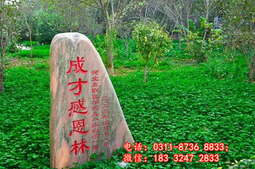 石家莊冀聯(lián)醫(yī)學(xué)院學(xué)習(xí)文化課嗎？