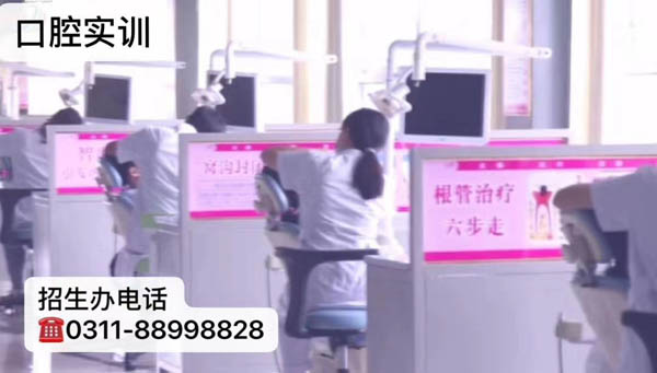 石家莊天使護(hù)士學(xué)?？谇粚I(yè)介紹