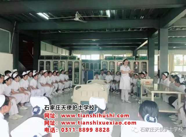 石家莊天使護士學(xué)校好嘛