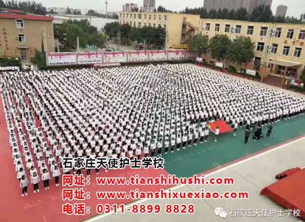 石家莊天使護士學(xué)校怎么樣