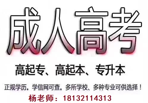 河北省單招培訓(xùn)班哪個好
