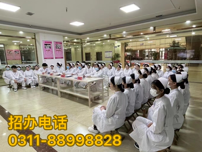 石家莊天使護(hù)士學(xué)校管分配嗎