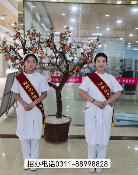 2024年石家莊天使護(hù)士學(xué)校招生簡章，開啟醫(yī)護(hù)夢想的新征程！