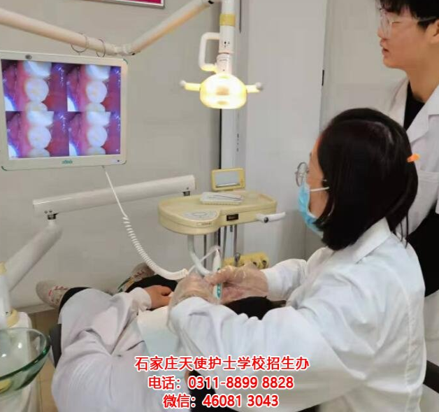 成為牙醫(yī)行業(yè)的精英：石家莊天使護(hù)士學(xué)校2024年春季口腔專業(yè)招生簡章發(fā)布