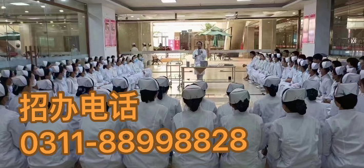 開啟醫(yī)護(hù)之路，2024年春季石家莊天使護(hù)士學(xué)校招生簡章