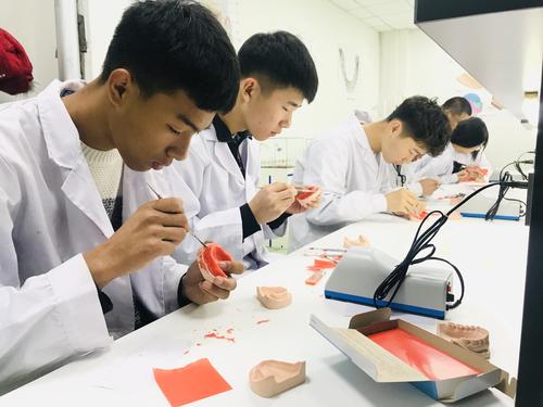 口腔修復工藝專業(yè)可以考醫(yī)師資格證嗎