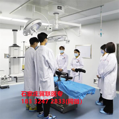 2024年河北省單招醫(yī)學(xué)類投檔分?jǐn)?shù)線