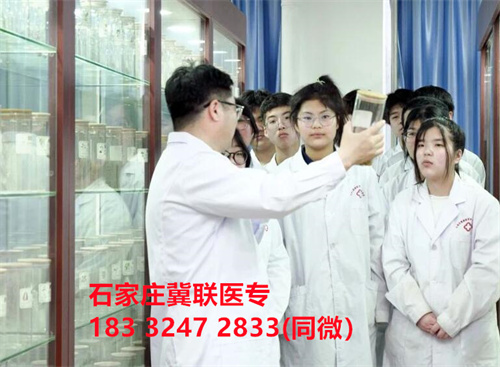 2024年承德護(hù)理職業(yè)學(xué)院單招分?jǐn)?shù)線