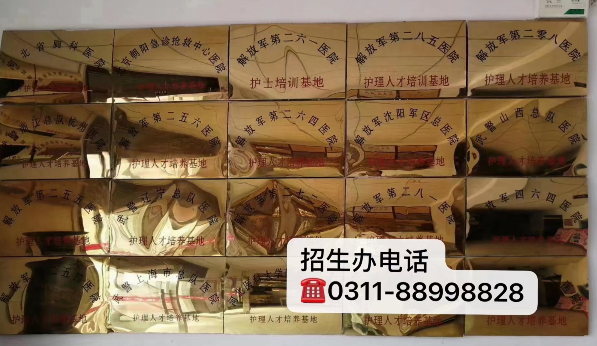 石家莊天使護(hù)士學(xué)?？孔V嗎管分配嗎