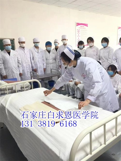 河北對(duì)口高考和對(duì)口單招有什么不同？